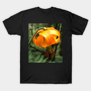 The Light Lantern of the Tiny Orange Forest Lily T-Shirt